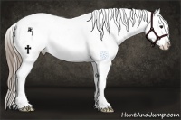Horse Color:Smoky Black Snowflake Varnish 