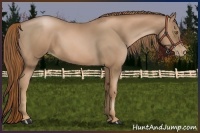 Horse Color:Liver Chestnut Pearl 