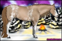 Horse Color:White Spotted Liver Chestnut Pearl