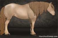 Horse Color:Liver Chestnut Pearl