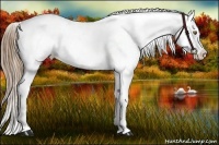 Horse Color:Liver Chestnut Pearl Sabino Splash Varnish and Liver Chestnut Pearl Sabino Splash Varnish
