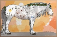 Horse Color:White Spotted Brown Sabino Splash Appaloosa  and White Spotted Brown Sabino Splash Appaloosa 