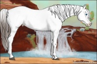 Horse Color:Liver Chestnut Sabino Splash Varnish  and Liver Chestnut Sabino Splash Varnish 