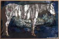 Horse Color:Liver Chestnut Sabino Splash  Brindle