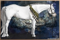 Horse Color:Grullo Roan Sabino Splash Appaloosa and Grullo Roan Sabino Splash Appaloosa