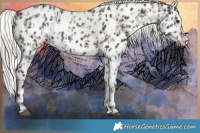 Horse Color:Liver Chestnut Mushroom Sabino Splash Appaloosa and Liver Chestnut Mushroom Sabino Splash Appaloosa