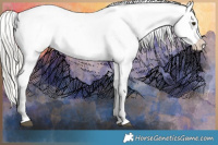 Horse Color:Liver Chestnut Mushroom Sabino Splash Appaloosa  and Liver Chestnut Mushroom Sabino Splash Appaloosa 