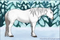 Horse Color:Brown Sabino Splash Appaloosa  Brindle