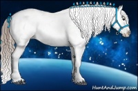 Horse Color:Liver Chestnut Sabino Splash Appaloosa  Brindle