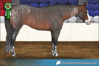 Horse Color:Brown Roan Sabino Splash  and Brown Roan Sabino Splash 