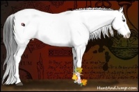 Horse Color:Liver Red Onyx Sabino Splash Appaloosa  Brindle