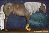 Horse Color:White Spotted Silver Bay Sabino  Brindle