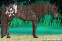 Horse Color:Liver Chestnut Sabino Splash Blanket  Brindle