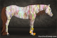 Horse Color:Chestnut Ice