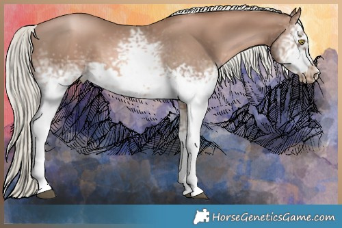 Horse Color:White Spotted Liver Chestnut Pearl Mushroom Splash Frame  Brindle