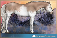 Horse Color:White Spotted Liver Chestnut Pearl Mushroom Splash Frame  Brindle