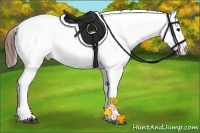 Horse Color:Bay Sabino Splash Varnish  and Bay Sabino Splash Varnish 