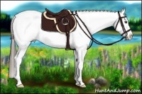 Horse Color:Liver Chestnut Sabino Splash Tobiano Blanket Rabicano 