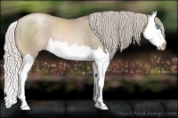 Horse Color:Chocolate Palomino Pearl Splash