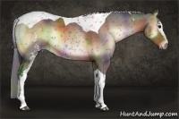 Horse Color:Nacre White Spotted Brown Onyx Tobiano 