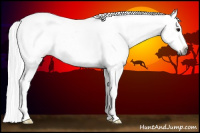 Horse Color:Gray Silver Black Sabino Tobiano Frame Blanket 