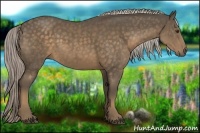 Horse Color:Chocolate Palomino Rabicano 