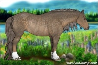 Horse Color:Chocolate Palomino Rabicano