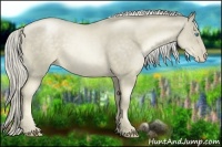 Horse Color:Chocolate Palomino Pearl Rabicano