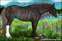 Horse Color:Liver Chestnut Ice Rabicano