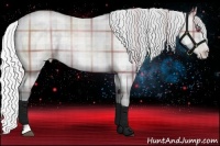 Horse Color:Plaid Silver Black Chinchilla Pearl