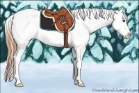 Horse Color:Red Roan Tobiano Appaloosa
