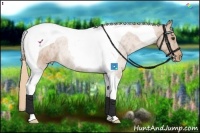 Horse Color:Chestnut Tobiano Varnish 