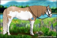 Horse Color:Chestnut Pearl Splash Frame 