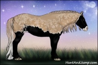 Horse Color:Palomino Ice Sabino Splash 