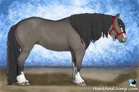 Horse Color:Black Sabino