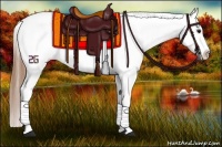 Horse Color:Buckskin Varnish 