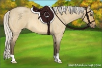 Horse Color:Silver Buckskin Roan Dun 