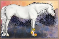 Horse Color:Silver Perlino Dun 