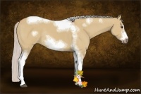 Horse Color:Silver Bay Dun Sabino Tobiano Frame Rabicano 
