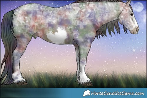 Horse Color:Nacre Bay Ice Sabino Tobiano Frame Rabicano 