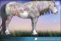 Horse Color:Nacre Bay Ice Sabino Tobiano Frame Rabicano 