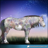 Horse Color:Nacre Bay Ice Sabino Tobiano Frame Rabicano 