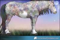 Horse Color:Nacre Bay Ice Sabino Tobiano Frame Rabicano 