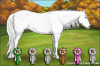 Horse Color:Gray Perlino Tobiano 