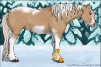 Horse Color:Silver Bay Dun Sabino Tobiano Frame Rabicano 