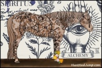 Horse Color:Chestnut Appaloosa 