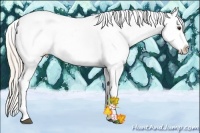 Horse Color:Silver Bay Dun Sabino Tobiano Appaloosa Rabicano 