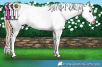 Horse Color:White Spotted Brown Dun Snowflake Varnish
