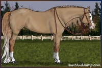 Horse Color:Red Dun Splash