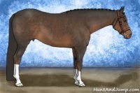 Horse Color:Liver Chestnut 
